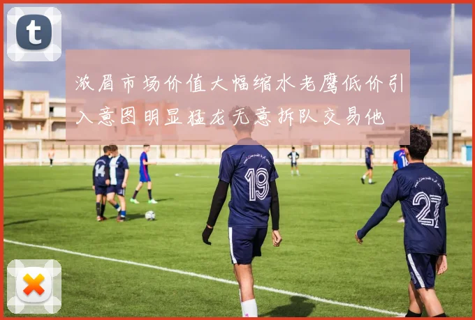 浓眉市场价值大幅缩水老鹰低价引入意图明显猛龙无意拆队交易他
